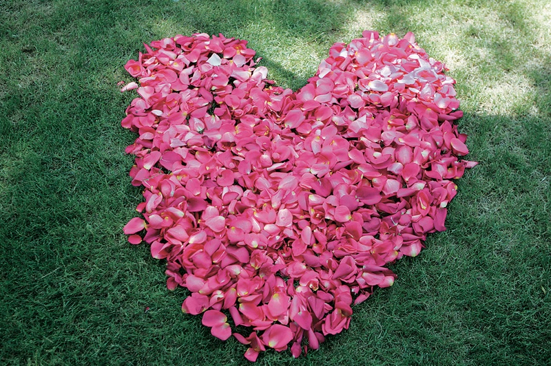 Pink Flower Heart
Photography: Asgeir Bollason for David Michael Photography
Read More:
http://www.insideweddings.com/weddings/pink-green-memorial-day-weekend-wedding-in-palm-desert/128/ Hot pink flowers in shape of heart on grass