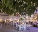 Greenery Ceiling Installation Overhead