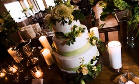 Rustic Green and Yellow Cake
Photography: Kristin Spencer Photography
Read More:
http://www.insideweddings.com/weddings/producer-hilary-lefebvres-nature-inspired-wedding-in-beaver-creek/229/ white cake with green fondant ribbon and yellow flowers sits on tree stump surrounded by candles