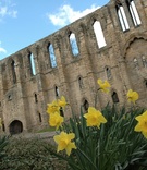 Balgonie Castle in Scotland
Photography: Captured Moments by Dee
Read More:
http://www.insideweddings.com/weddings/old-world-style-destination-castle-wedding-in-scotland/146/ Scotland castle with yellow daffodils in foreground