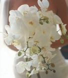 White Bridal Bouquet
Photography: Elizabeth Messina
Read More:
http://www.insideweddings.com/weddings/cozy-seaside-celebration-in-santa-barbara-california/173/ Bride carrying arrangement of orchid flowers