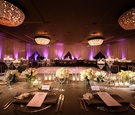 Purple Reception Lighting in Ballroom