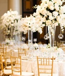White Flower Centerpieces
Photography: Donna Newman Photography
Read More:
http://www.insideweddings.com/weddings/brenna-mcguire-and-brandon-dubinsky/427/ centerpieces of white flowers and hanging tea lights
