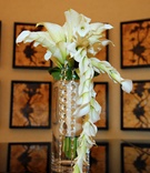 Cascading Calla Lily Bouquet
Photography: Shawna Herring Photography
Read More:
http://www.insideweddings.com/weddings/chic-tiffany-blue-atlanta-celebration-with-4-foot-wedding-cake/245/ Wedding bouquet with white calla lily flowers and crystal