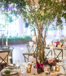 Tree as Centerpiece with Flowers at Base
Photography: TimWill Photography
Read More:
http://www.insideweddings.com/weddings/alfresco-wedding-indoor-reception-with-organic-natural-elements/1017/ wedding reception tree as centerpiece, natural, organic themed wedding