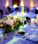 Low Wedding Centerpiece
Photography: Jessica Lewis Photography
Read More:
http://www.insideweddings.com/weddings/summer-wedding-at-the-sls-hotel-beverly-hills-california/460/ Blue reception lighting on table with white flower centerpiece