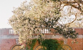 Ceremony in Front of Brick %26 Ivy
Photography: Coco Tran
Read More:
http://www.insideweddings.com/weddings/alfresco-black-tie-wedding-at-a-historic-property-in-the-bay-area/1287/ wedding at filoli, ceremony in front of brick building covered in ivy