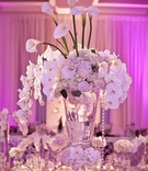 Glitzy Floral Centerpiece
Photography: Tina Rowden
Read More:
http://www.insideweddings.com/weddings/alexandria-lopez-and-joshua-smith/356/ Purple-pink lighting and white floral arrangement
