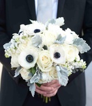 Winter Wedding Bouquet
Photography: Donna von Bruening Photographers
Read More:
http://www.insideweddings.com/weddings/wedding-planner-genina-ramirezs-southern-celebration/367/ Groom holding dusty miller with ivory rose and white and blue anemone bouquet