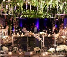 Delphiniums Over Reception Table