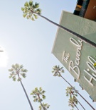 The Beverly Hills Hotel
Photography: John Solano Photography
Read More:
http://www.insideweddings.com/weddings/summer-sunflower-ceremony-garden-inspired-reception/396/ LA wedding venue sign and palm trees