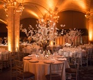Bright Uplighting and White Tablescapes