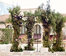 Verdant Chuppah with Purple Blooms