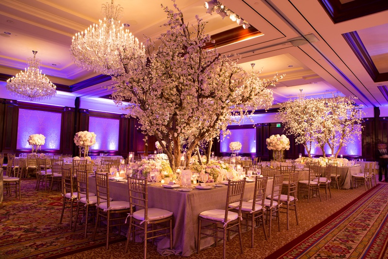 Reception at Four Seasons Hotel Westlake Village with Purple Lighting
Photography: Jay Lawrence Goldman Photography
Read More:
http://www.insideweddings.com/weddings/elegant-white-lavender-ballroom-wedding-with-cherry-blossom-trees/710/ Wedding reception with plum uplighting, cherry blossom trees with white flowers, gold tablecloths