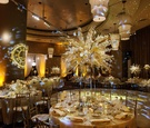 Reception with Colorful Lighting Concept
