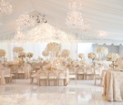 Elegant Neutral Reception