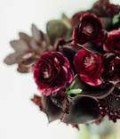 Dark Burgundy Bridal Bouquet
Photography: Erika Delgado Photography
Read More:
http://www.insideweddings.com/weddings/unique-wedding-with-greenery-black-and-oxblood-decor-in-miami/1091/ Burgundy black calla lily flower and burgundy oxblood rose ranunculus flowers slight greenery