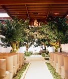 Outdoor-Inspired Ceremony
Photography: Elizabeth Messina
Read More:
http://www.insideweddings.com/weddings/an-earthy-elegant-eclectic-wedding-with-rustic-elements/390/ Champagne chair covers and indoor trees