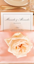 Place Setting
Photography: Priscila Valentina
Read More:
http://www.insideweddings.com/inspiration/board/329/flowers-by-cina/romantic-balboa-bay-resort-wedding-flowers-by-cina/ http://flowersbycina.com/romantic-balboa-bay-resort-wedding/