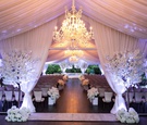 Winter Ceremony with Purple Lighting