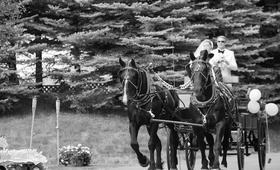 Horse-Drawn Carriage
Photography: Ray J. Gadd of Steve Smith Wedding Photography
Read More:
http://www.insideweddings.com/weddings/sophisticated-pink-celebration-in-sun-valley-idaho/462/ Black and white photo of horse and wagon transport