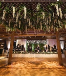 Wisteria Over Dance Floor
Photography: Carasco Photography
Read More:
http://www.insideweddings.com/weddings/rustic-chic-wedding-with-personalized-modern-details-in-chicago/1366/ rustic chic wedding reception the gold coast all stars stage trellis over dance floor with greenery
