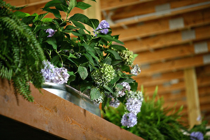 Floral Décor for Barn Ceremony
Photography: Stacy Newgent
Read More:
http://www.insideweddings.com/weddings/rustic-barn-wedding-tented-reception-on-family-farm-in-ohio/690/ Barn wedding ceremony with ferns, greenery, purple and green hydrangeas in tin tub