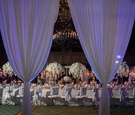 Fire & Ice Reception Inspiration