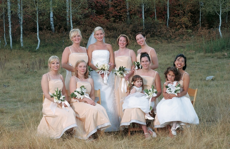 Utah Wedding and Bridesmaids Dresses Dresses