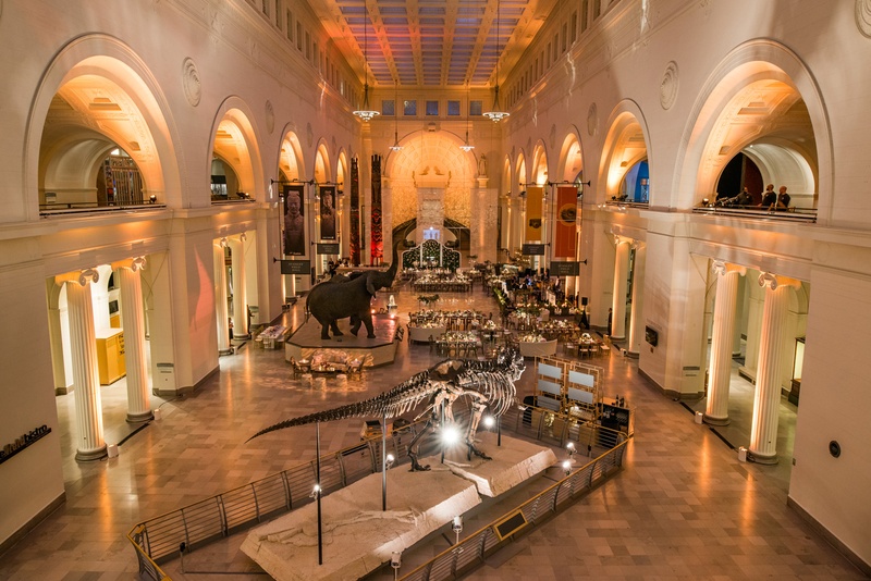 The Field Museum Wedding Reception
Photography: Kent Drake Photography
Read More:
http://www.insideweddings.com/weddings/an-event-planners-wedding-at-a-museum-by-sue-the-tyrannosaurus-rex/955/ Wedding reception at The Field Museum with dinosaur skeletons and elephant sculptures unique venue