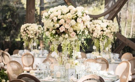 Garden Rose Centerpieces with Greenery
Photography: KLK Photography
Read More:
http://www.insideweddings.com/weddings/nature-inspired-alfresco-ceremony-tent-reception-at-malibu-ranch/811/ cream garden rose centerpieces with dripping greenery mirror table top rustic chairs