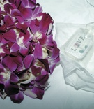 White Embroidered Handkerchief
Photography: Thomas J. Styczynski Photography
Read More:
http://www.insideweddings.com/weddings/classic-ballroom-wedding-in-santa-barbara-california/107/ Purple lei, mints marked LOVE, and handkerchief