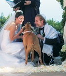 Family Dog Ring Bearer
Photography: Christofer Jae Photography
Read More:
http://www.insideweddings.com/weddings/asian-inspired-oceanfront-wedding-in-big-sur-california/110/ Bride and groom at ceremony with Boxer