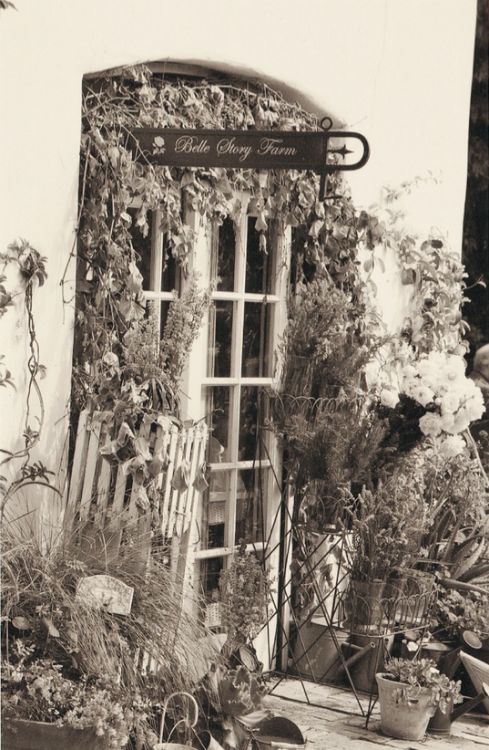 Belle Story Farm
Photography: Amy Kumler Photography
Read More:
http://www.insideweddings.com/weddings/outdoor-wedding-at-a-california-rose-farm/18/ Black and white picture of Santa Barbara rose farm