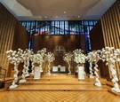 Ceremony Aisle Lined with Trees