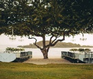 Outdoor Reception on Beach, Chandeliers