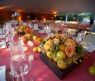 Citrus Wedding Centerpiece