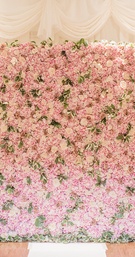 Pink Flower Wall at Ceremony
Photography: Lauren Gabrielle Photography
Read More:
http://www.insideweddings.com/weddings/lovely-country-club-summer-wedding-with-tent-reception-in-ohio/1018/ Wedding ceremony decor white drapery curtains white vase pink flowers pink green flower wall altar
