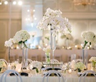 White Flowers & Candlelight