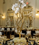 Gold Manzanita Branches with Orchids
Photography: Amy Anaiz Photography
Read More:
http://www.insideweddings.com/weddings/regal-style-mansion-wedding-with-black-and-gold-color-palette/1046/ wedding reception centerpiece with gold manzanita branches with orchids and crystals