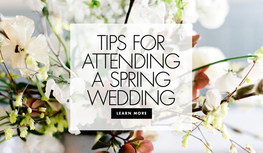What You Need to Know Before Attending a Spring Wedding
Article: What You Need to Know Before Attending a Spring Wedding
Photography: O'Malley Photographers
Read More:
http://www.insideweddings.com/news/planning-design/what-you-need-to-know-before-attending-a-spring-wedding/4738/ tips for attending a spring wedding wedding ideas for guests