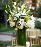 Classic White %26 Green Tall Arrangement
Photography: Chris Bailey Photography
Read More:
http://www.insideweddings.com/weddings/southern-at-home-wedding-inspired-by-father-of-the-bride-in-texas/753/ White linen with gold details and tall flower arrangement of white lily, hydrangea, and green orchid