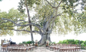 Banyan Tree Wedding Ceremony
Photography: Love and Water Photography
Read More:
http://www.insideweddings.com/weddings/destination-hawaiian-wedding-with-travel-vintage-theme-in-maui/772/ Hawaii wedding under banyan tree with wood chairs, wine barrel altar, and fresh flowers