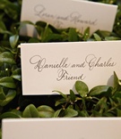 Calligraphy Seating Card
Photography: KingenSmith
Read More:
http://www.insideweddings.com/weddings/modern-black-white-chicago-wedding-with-hints-of-pink/613/ Escort cards on green leaves with black hand lettering
