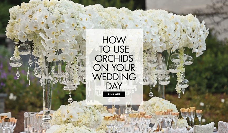Your Guide to Using Orchids in Your Wedding
Article: Your Guide to Using Orchids in Your Wedding
Photography: Carasco Photography
Read More:
http://www.insideweddings.com/news/planning-design/your-guide-to-using-orchids-in-your-wedding/3977/ Consider some modern twists for this opulent blossom.