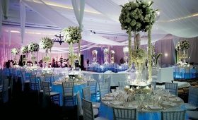Winter-Themed Reception
Photography: Patty Daniels Town %26 Country Studio
Read More:
http://www.insideweddings.com/weddings/all-white-autumn-wedding-at-south-beach-in-miami-florida/204/ White drapes and tall centerpiece designs