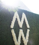 Rose Initials on Hedge Wall
Photography: Ira Lippke Studios
Read More:
http://www.insideweddings.com/weddings/contemporary-backyard-white-wedding-under-clear-tent-in-chicago/857/ M and W initials in roses on green hedge wall for wedding reception