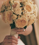 Bouquet of Ivory Roses
Photography: Dalal Photography
Read More:
http://www.insideweddings.com/weddings/old-world-elegance-at-classic-ballroom-wedding-in-san-francisco/85/ bride holds bouquet of white roses
