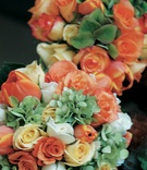 Orange Yellow and White Rose Bouquets
Photography: David Michael Photography
Read More:
http://www.insideweddings.com/weddings/a-citrus-toned-beach-wedding-in-santa-monica-california/67/ flower bouquets of orange, yellow and white roses and green hydrangea