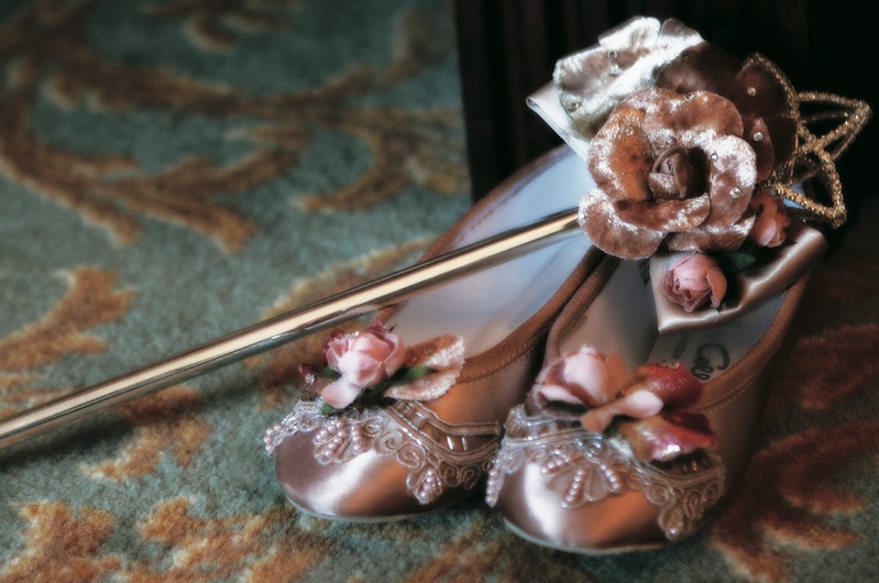 Flower Girl Shoes %26 Accessories
Photography: Maring Lifestyle Photography
Read More:
http://www.insideweddings.com/weddings/winter-circus-wedding-at-the-ringling-museum-of-art-in-florida/150/ Purple ballet flats with beads, flowers, and lace